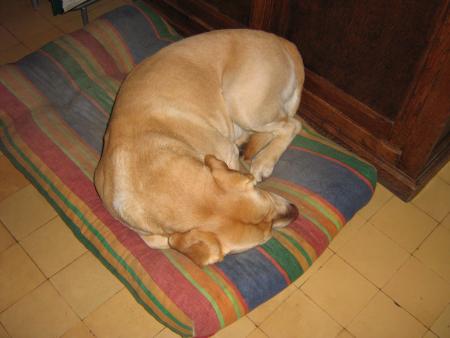 ils sont partis hier apr�s midi...