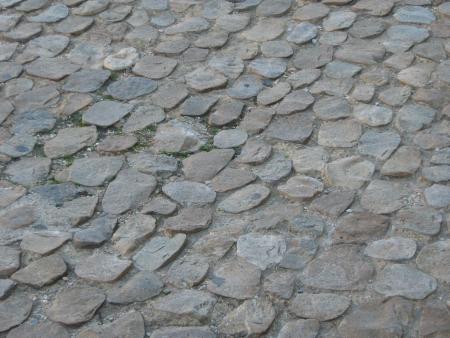 j'aime pas leurs pavets, ils font mal � mes petites pattes, et � celles de Jeanne....