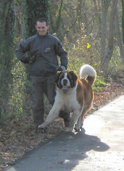en ballade hier rencontre avec un gros copain....