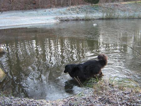 rien ne m'arr�te, non mais, j'y vais quand m�me,  mais non j'suis pas folle j'aime....