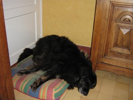 ah! ah!! j'lui ai piqu� son coussin, huuuuum