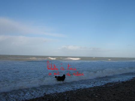 La mer se pr�pare � sa col�re du lendemain.